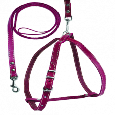 762 Комплект "КЛАССИК" собака №0 