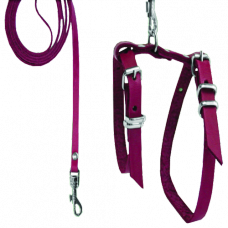 766 Комплект "КЛАССИК" кролик 