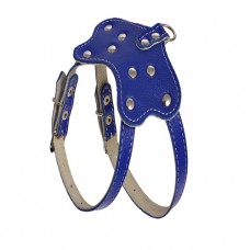 010 КОМПЛЕКТ "ПЕРЛАМУТР":шлейка "800"+ Поводок"788" 