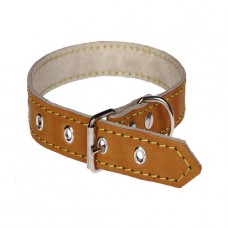 209 Ошейник 20мм"ЕКОНОМ" кожа