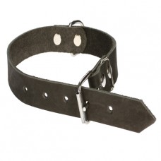 310 Ошейник 25мм"ЕКОНОМ"кожа с 2-х частей