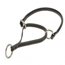 040	Ошейник-удавка 6мм "ПРЕМИУМ"  кожаный круглый(20-25см)