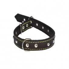 215 Ошейник 20 мм"КЛАССИК"кожа+синтепон" украш. (шт.) 