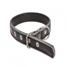 227 Ошейник 20мм"КЛАССИК" с светоотражающей лентой