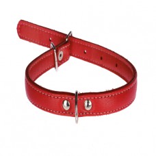 248  Ошейник 20мм "ЛЮКС" 1 стор.