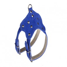 812 Шлейка "ВЕЛЮР" для декоративных пород №1 